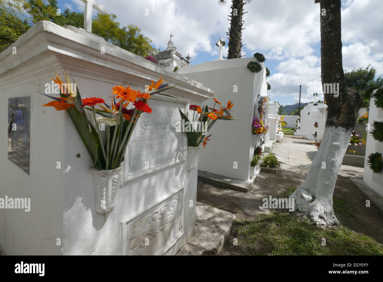 Cementerio principal día de muertos tumbas adornadas de flores frescas