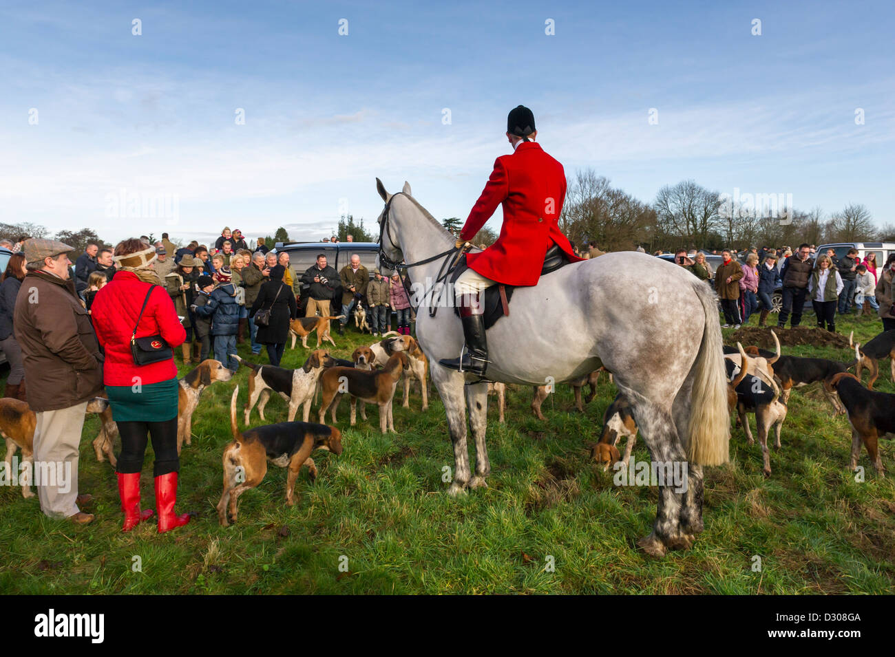 Fox Hunt y pack, Inglaterra, Reino Unido. Foto de stock