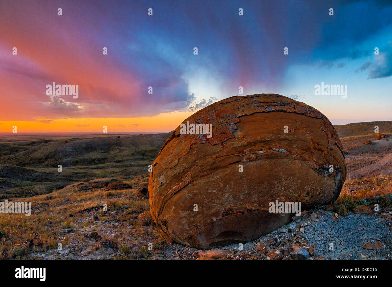 Gran concreción boulder, Roca Roja Coulee, Alberta, Canadá Foto de stock