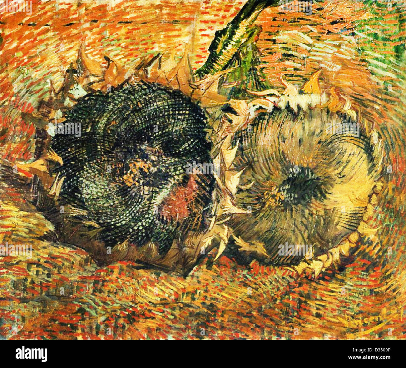 Vincent van Gogh, bodegón con dos girasoles. 1887. Posimpresionismo. Óleo sobre lienzo. Kunstmuseum de Berna, Suiza. Foto de stock