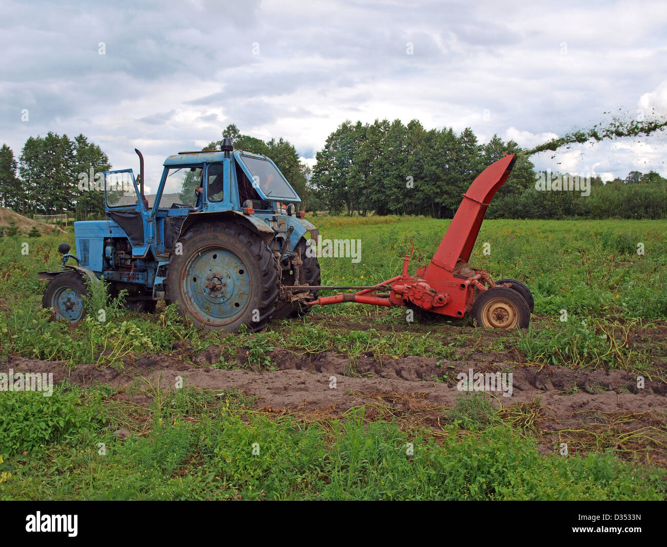 Federación de tractor segadora powered, siega potato verdes Foto de stock