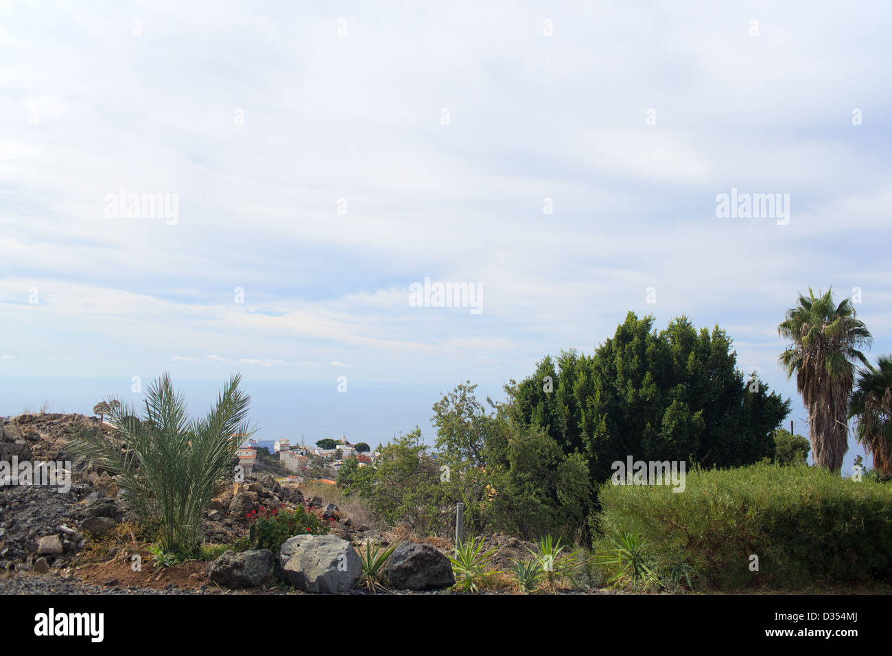 La vegetación de la isla de Tenerife Foto de stock