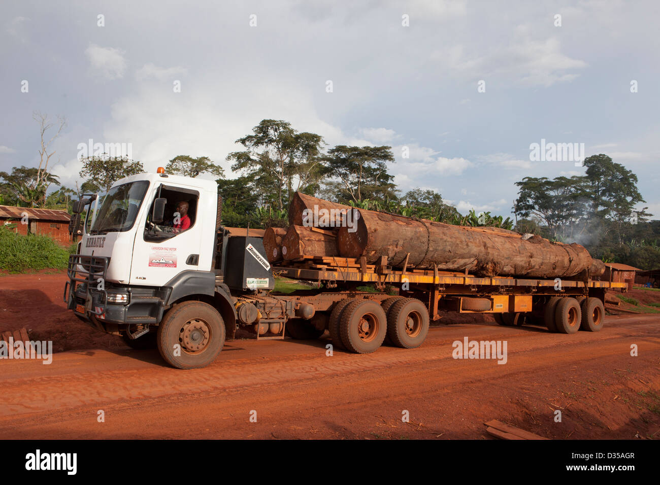 Camerún, 24 Sept 2012: árboles cortados por una empresa maderera de su concesión de temporizador se transporta a la costa para su exportación o a un aserradero para su procesamiento. Foto de stock