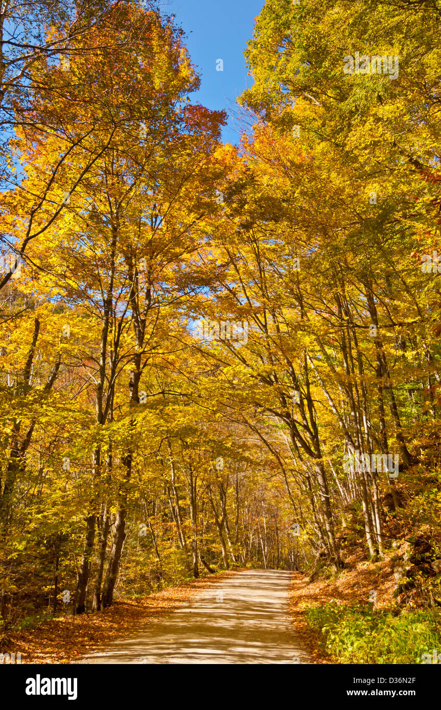 Los colores del otoño caen los colores en el país de atrás de Vermont en una pequeña carretera de atrás cerca de West Arlington Vermont New England USA Estados Unidos de América Foto de stock