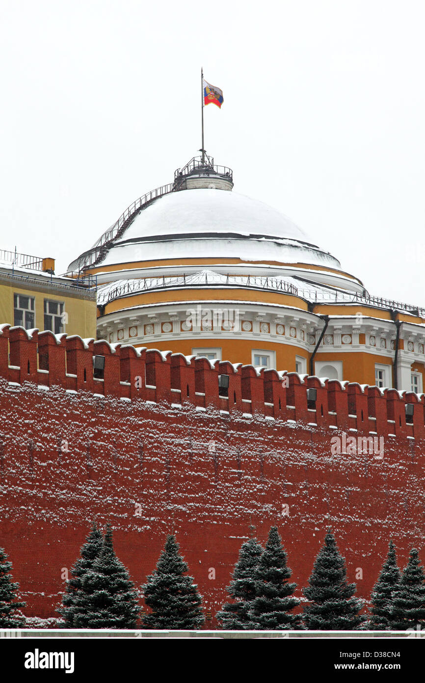 Bandera de la Federación de Rusia (Presidente Standart) en el Gran Palacio del Kremlin. El Kremlin, la Plaza Roja, Moscú, Rusia. El invierno de 2013. Foto de stock