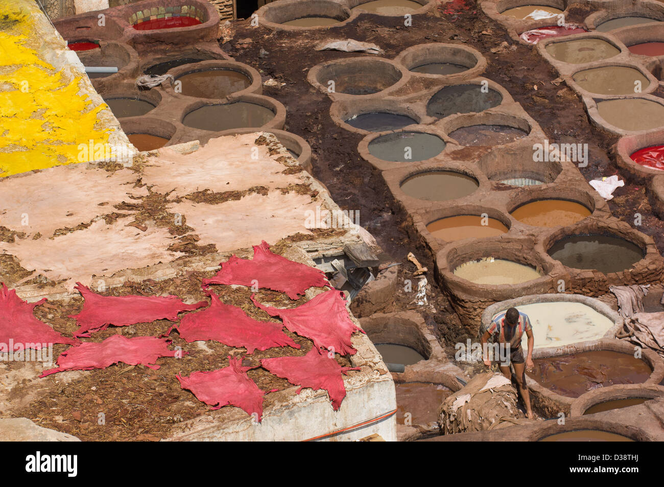 Rojo y amarillo teñido de pieles en secado delante de los fosos de tintura de la Tenería Chouara, en Fes, Marruecos Foto de stock