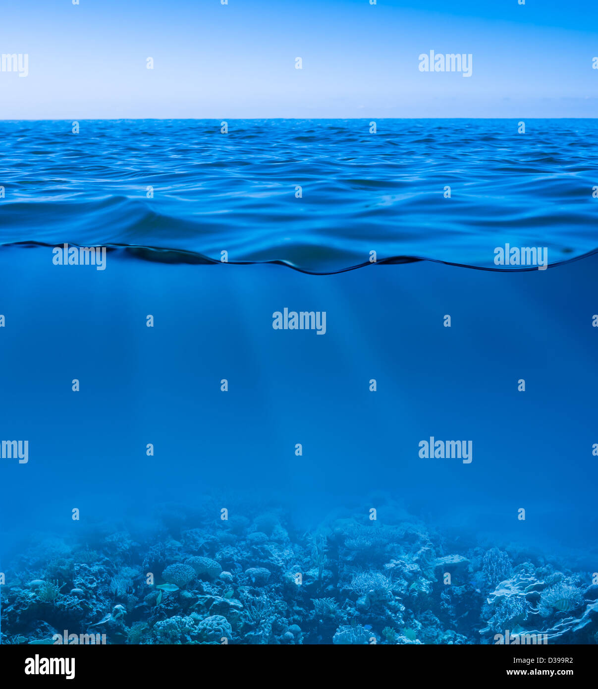 Todavía mar calma superficie de agua con el cielo claro y el mundo submarino descubierto Foto de stock