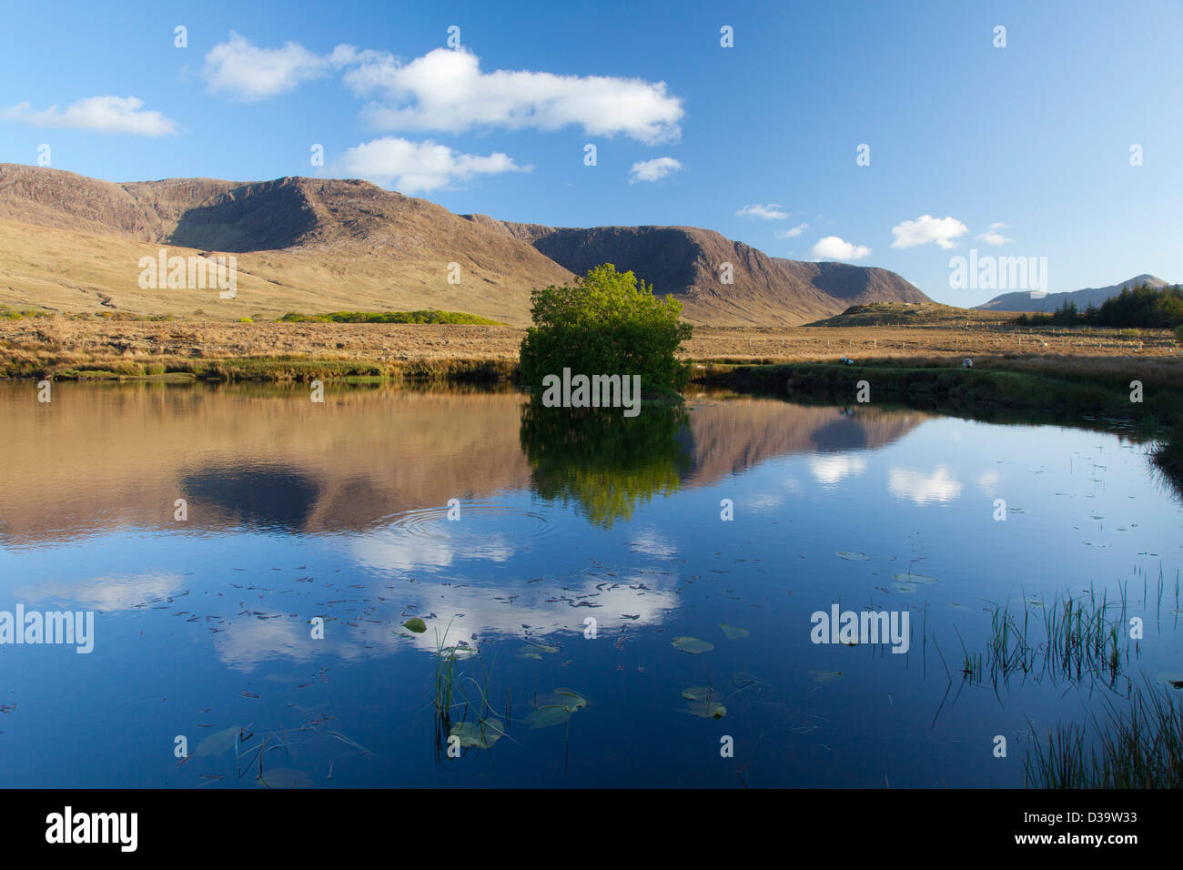 Las Montañas Partry reflejado en el río Owenmore, en el condado de Mayo, Irlanda. Foto de stock