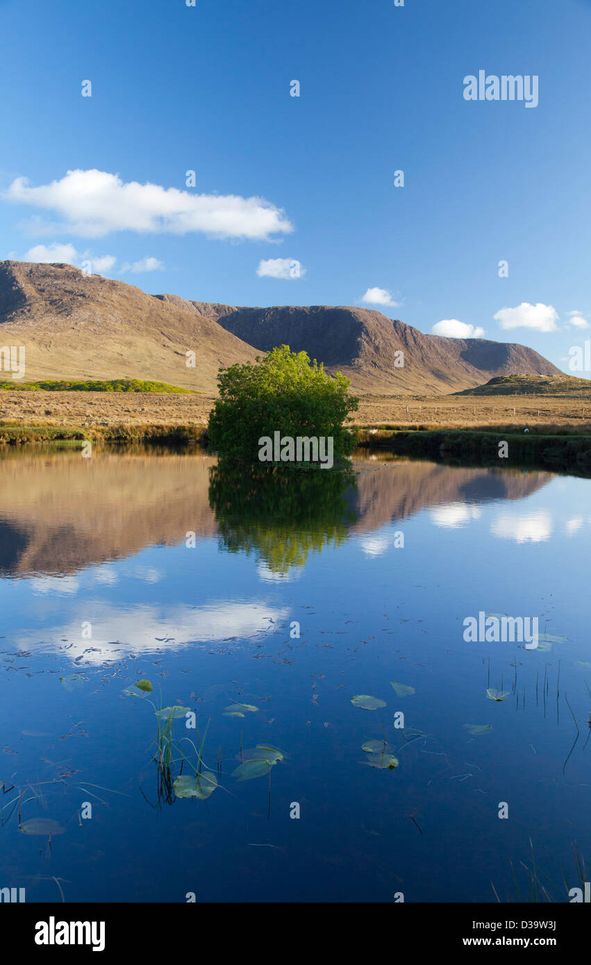 Las Montañas Partry reflejado en el río Owenmore, en el condado de Mayo, Irlanda. Foto de stock