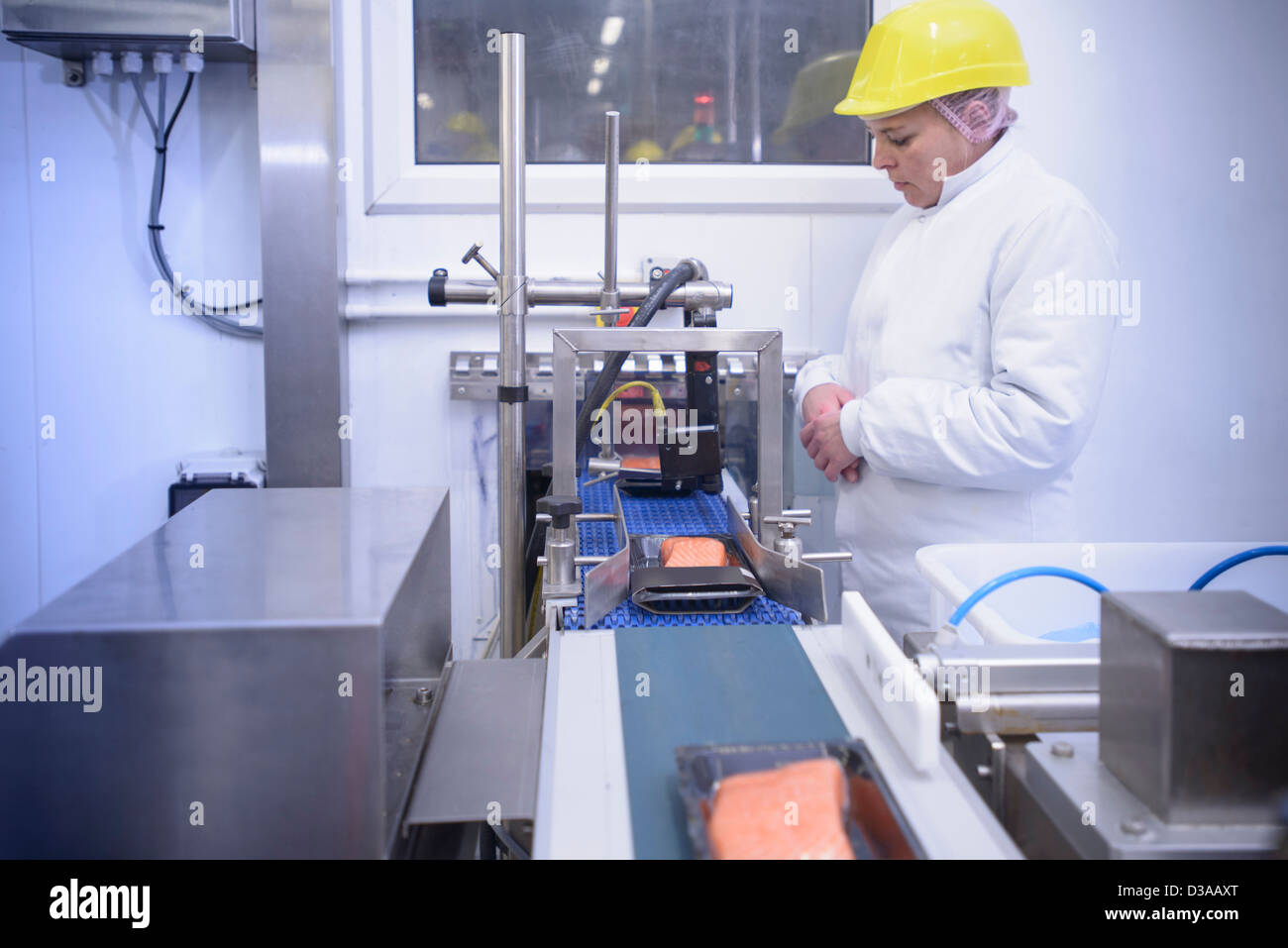 Trabajador inspeccionando paquetes de filetes de salmón dentro de la fábrica de alimentos Foto de stock