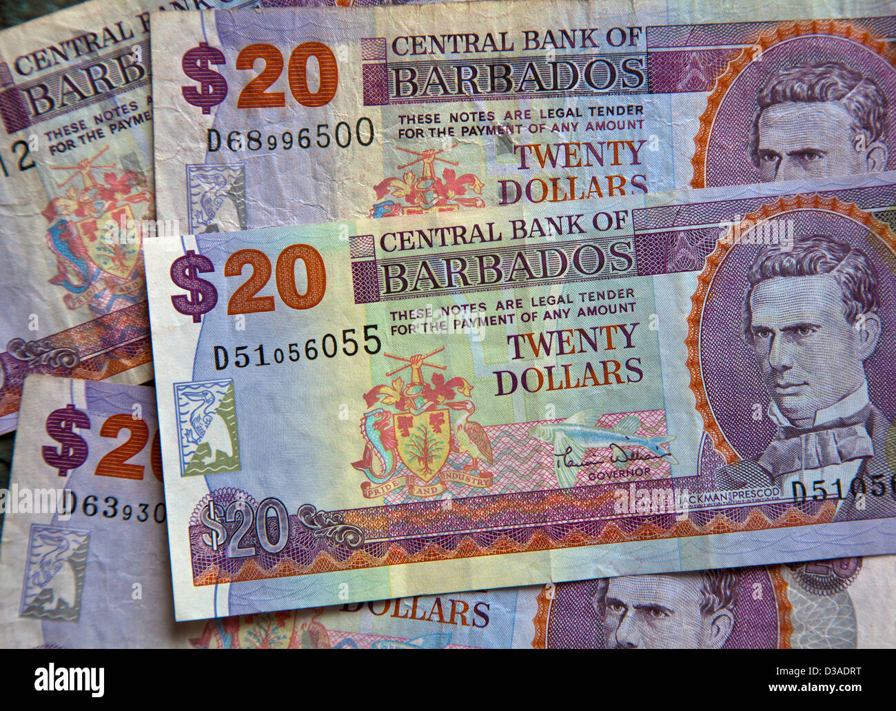 Billetes de dólar de Barbados Foto de stock