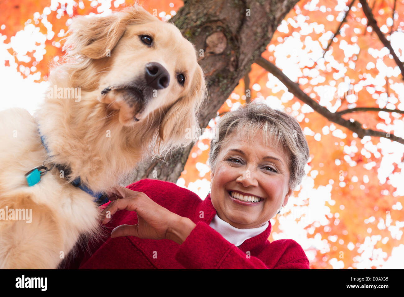 Mujer de raza mixta con el perro en el parque Foto de stock