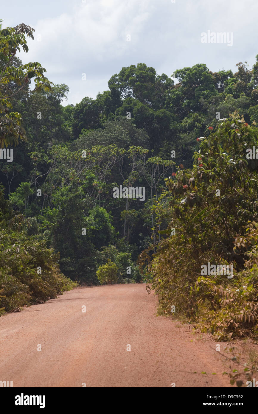 A lo largo de la selva tropical de Iwokrama única arteria vial norte-sur a través de Guyana. Facilitando el acceso desde Georgetown Linden hasta Lethem Foto de stock