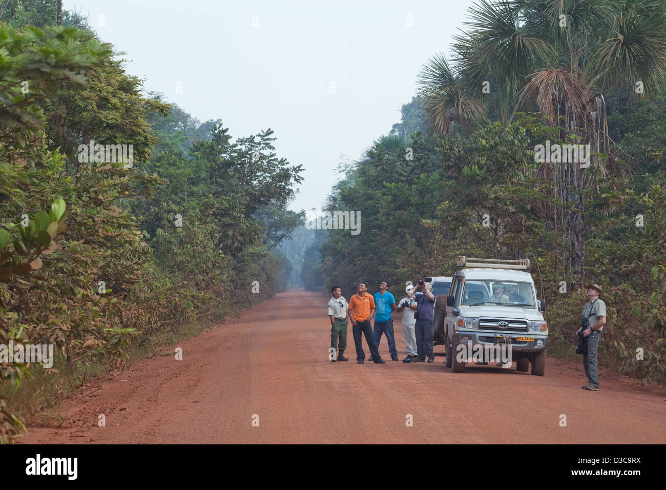 Selva de Iwokrama; una parada a lo largo de la única calle carretera norte-sur a través de Guyana. Facilitando el acceso de Georgetown a Lethem Foto de stock