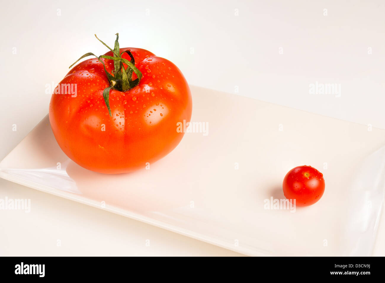 Grande o pequeño, un tomate El tamaño importa concepto Foto de stock