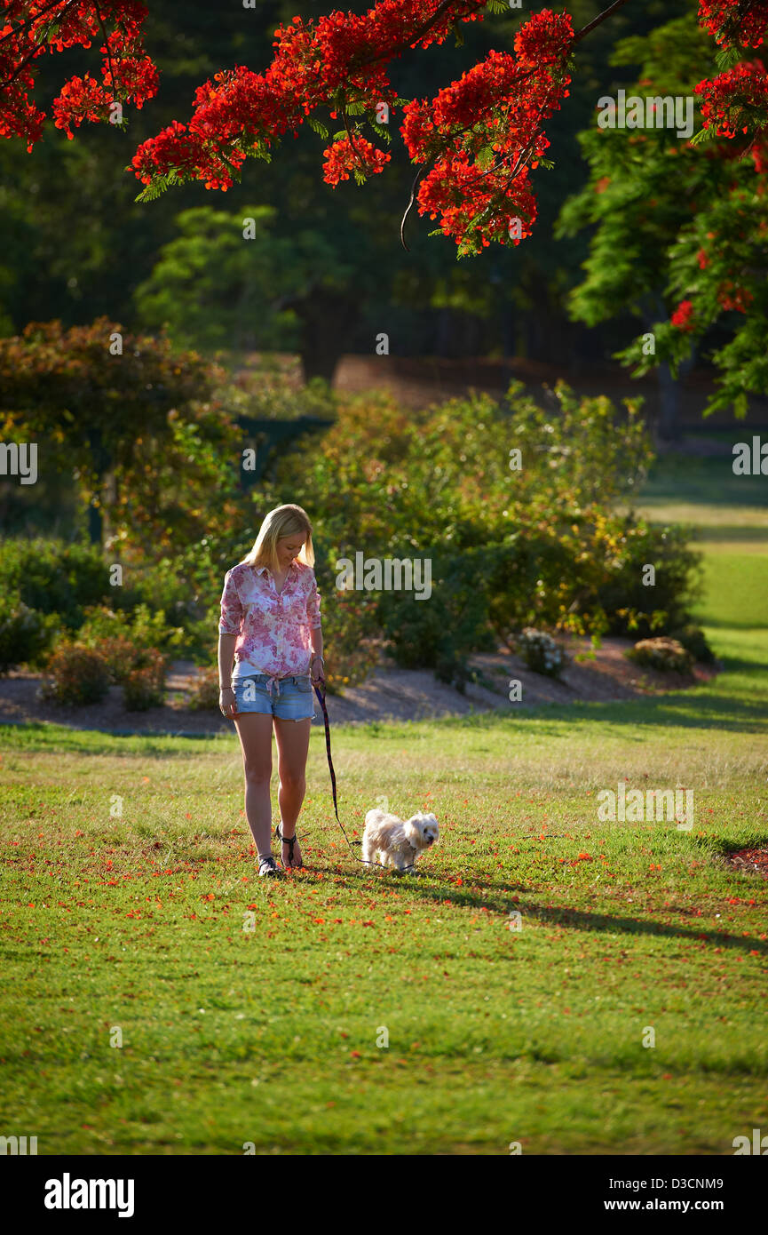 Mujer joven caminar a su perro en el parque Foto de stock