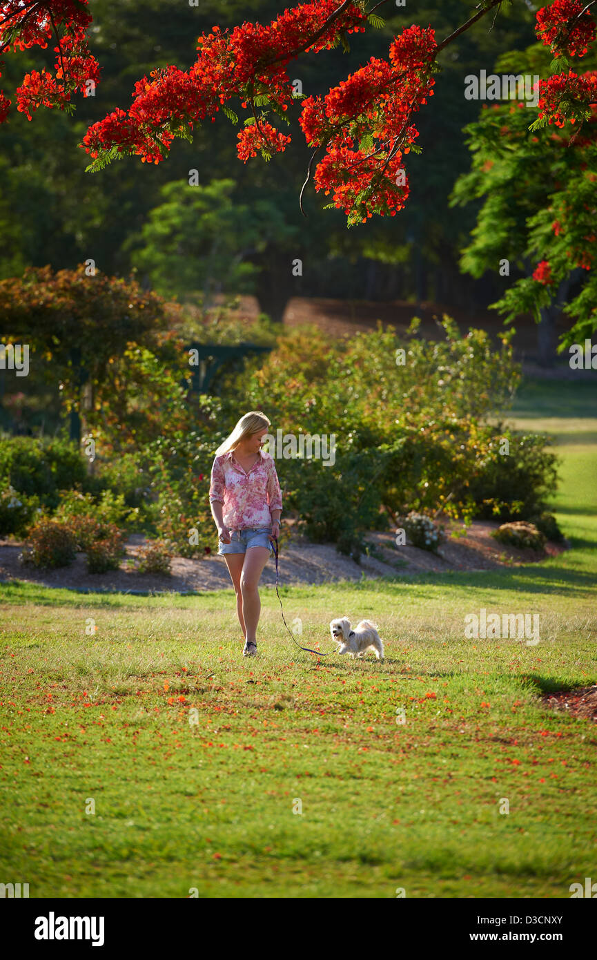 Mujer joven caminar a su perro en el parque Foto de stock