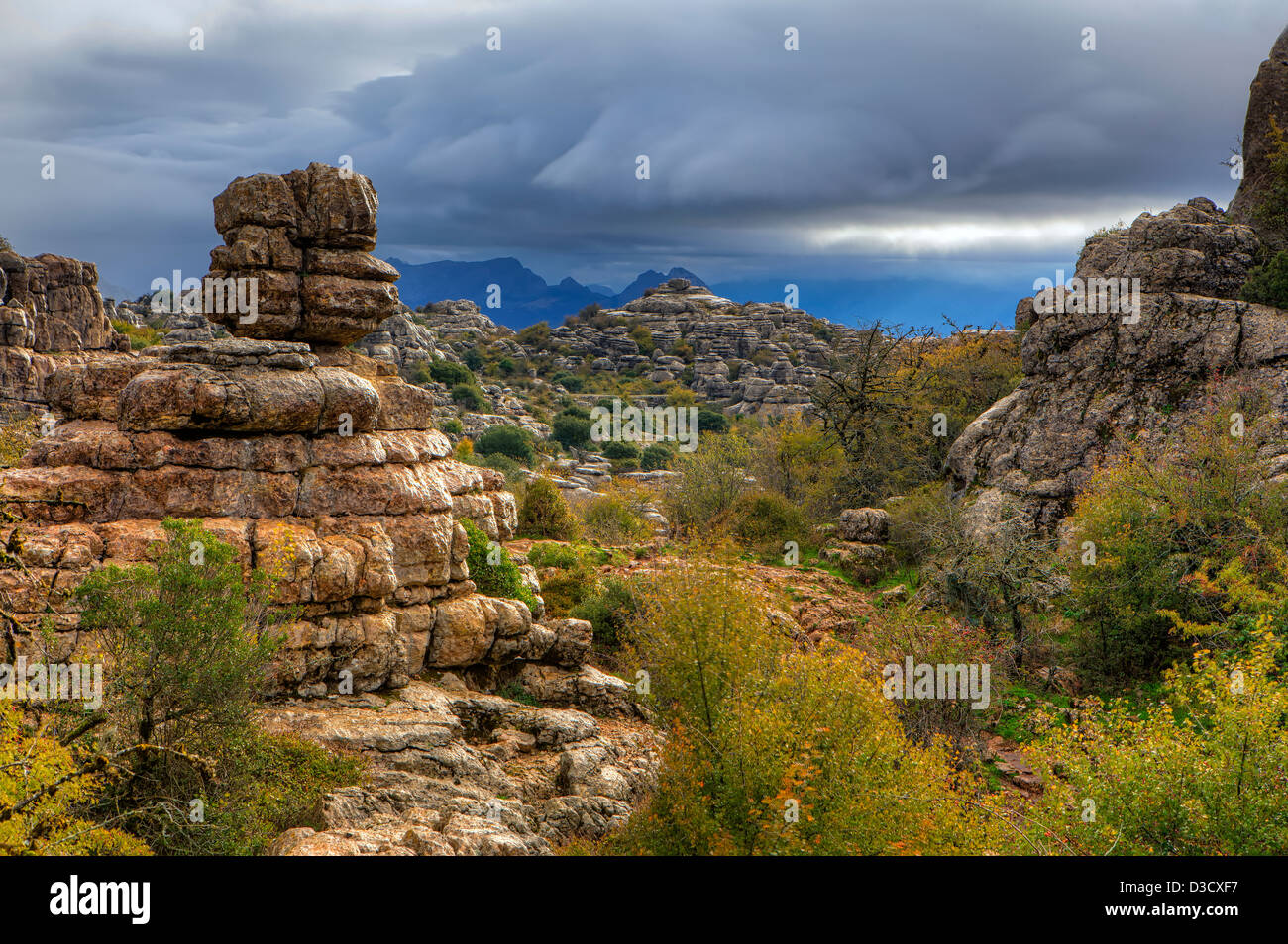 Las formaciones rocosas de el Torcal de Antequera, una reserva natural en Málaga, España Foto de stock