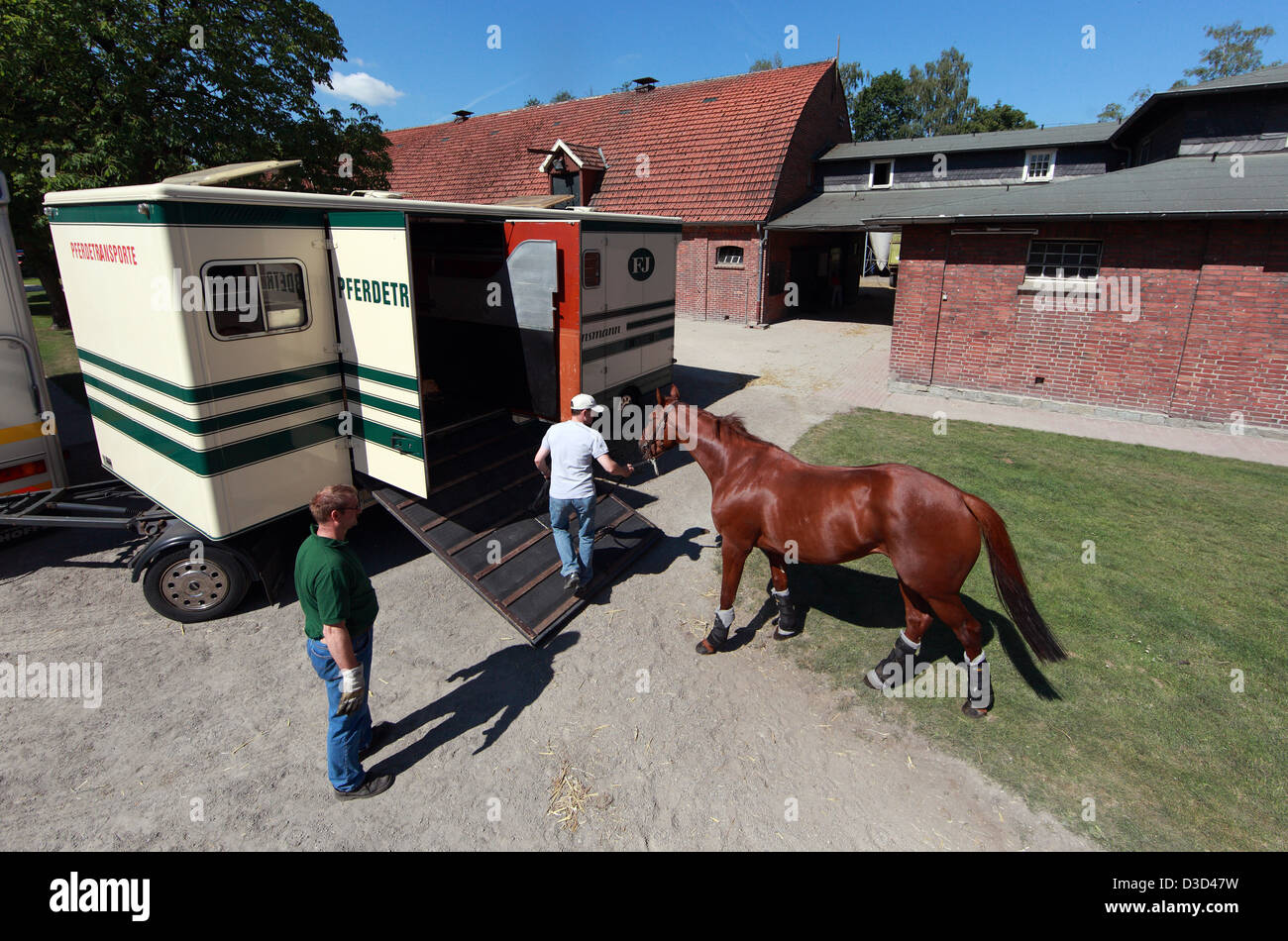Gutersloh, Alemania, el caballo está cargado en una furgoneta Foto de stock