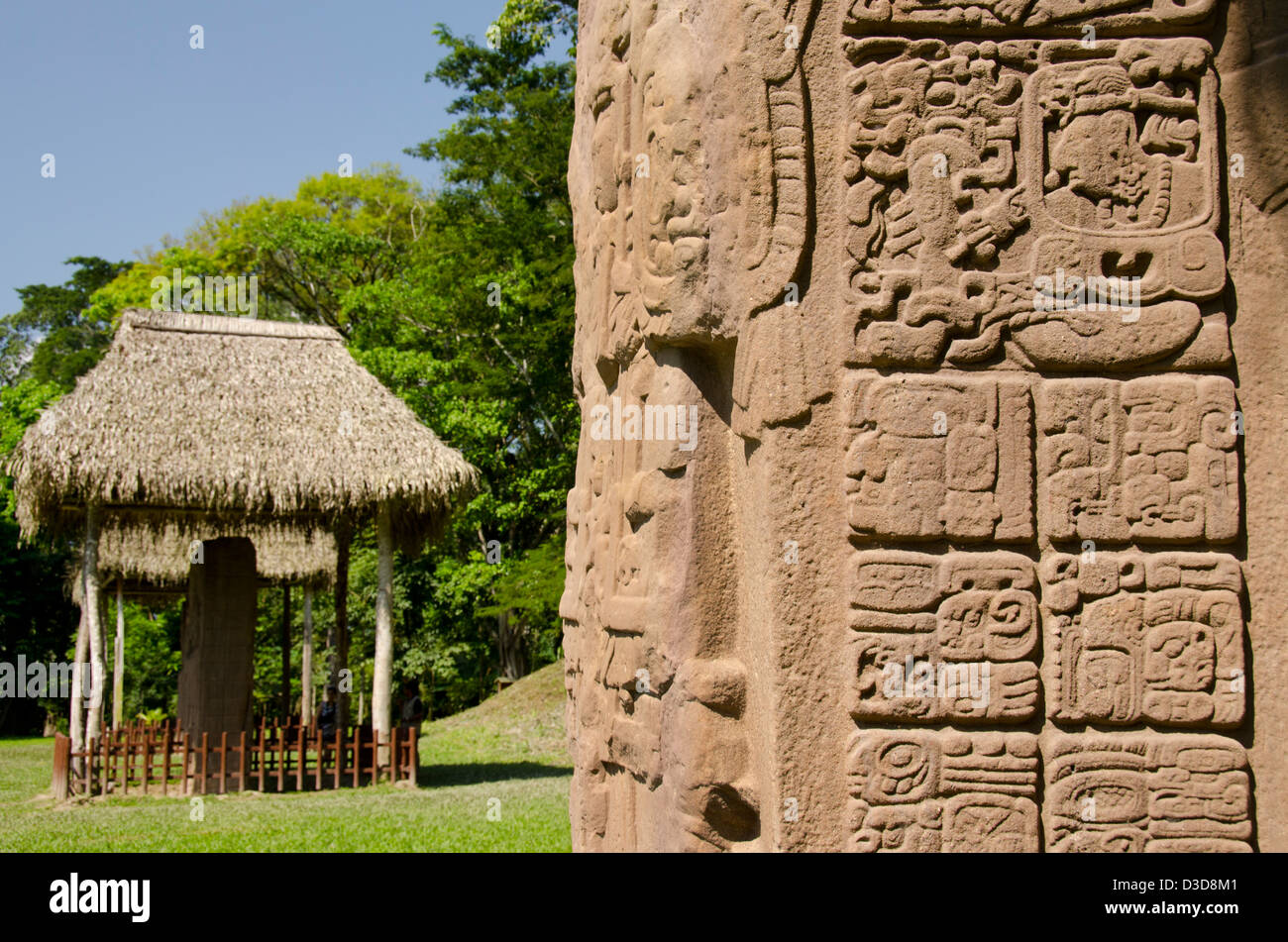 Las Ruinas Mayas de Guatemala, el Parque Arqueológico de Quiriguá (UNESCO  Fotografía de stock - Alamy