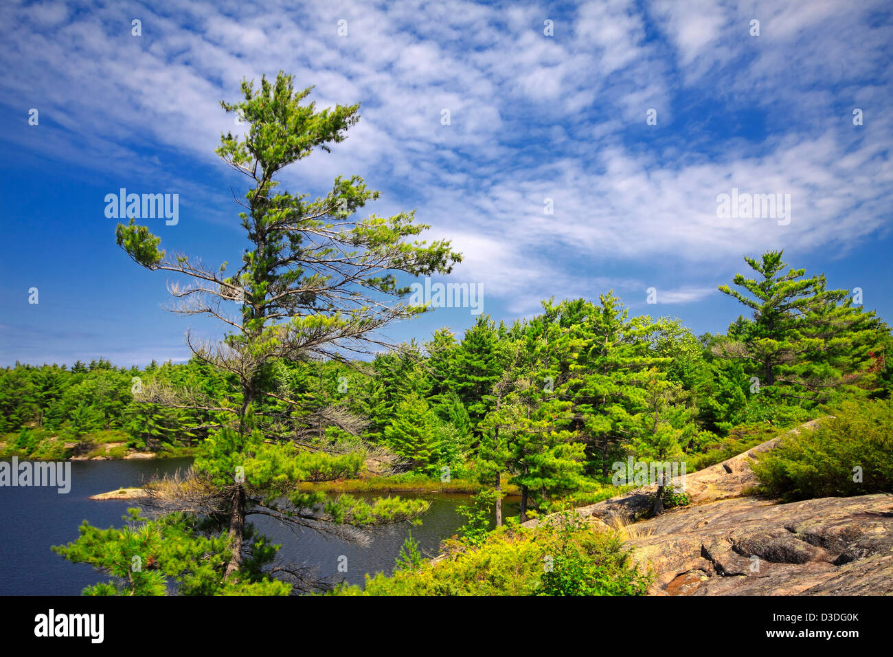 Fairy Lake con paisaje típico del Escudo Canadiense Foto de stock