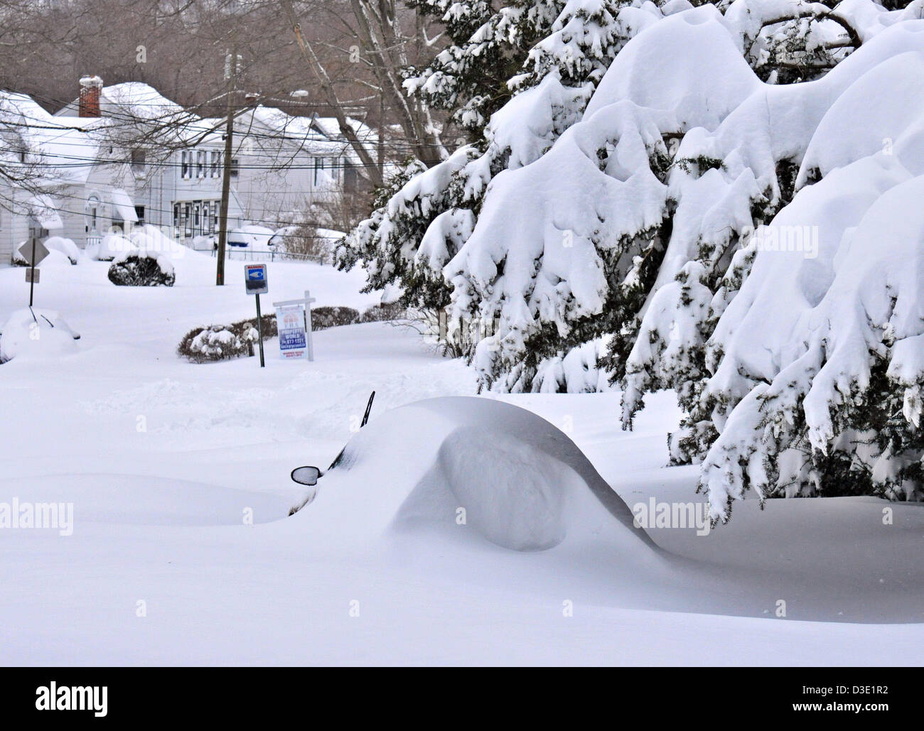 Coches cargados de nieve después de Blizzard Nemo golpeó a Connecticut, nevadas récord de dumping. Se declaró un estado de emergencia después de la tormenta Foto de stock