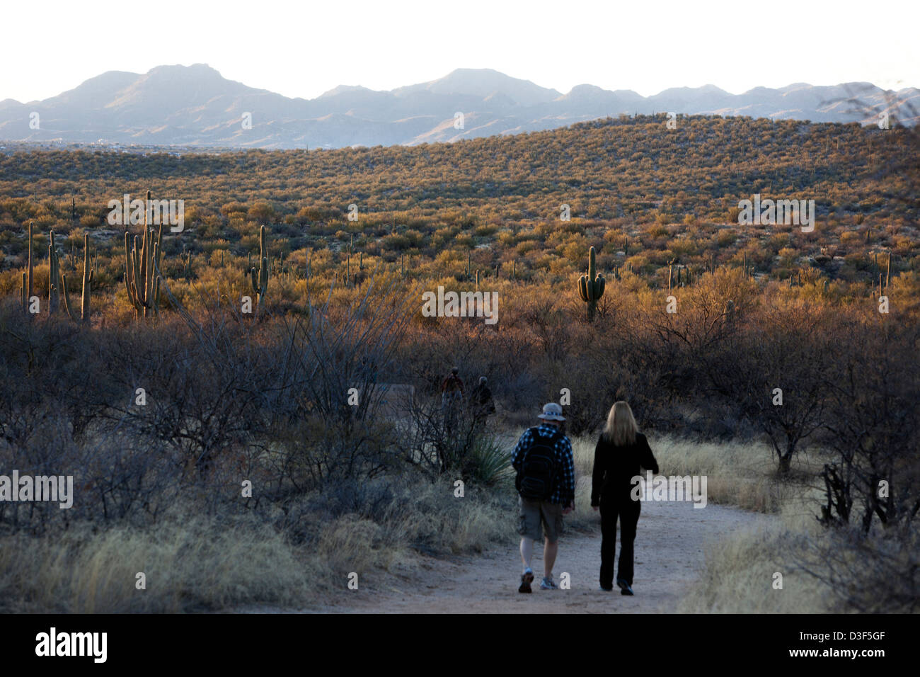Dos personas caminando por un sendero en el Parque Estatal de Catalina, cerca de Tucson, Arizona, EE.UU. Foto de stock