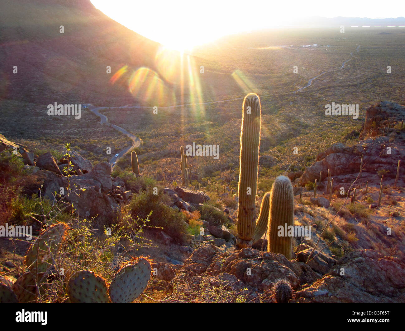 Escena del desierto en Tucson, Arizona, Gates al atardecer Foto de stock