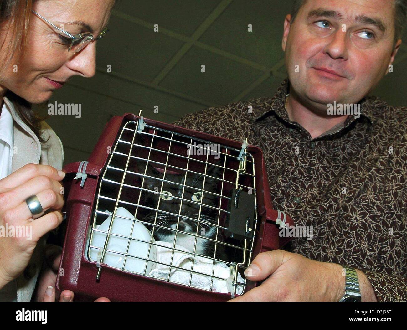 (Dpa) - Guenther Koelbl y su esposa, Ingrid felizmente abrazar la jaula que sostiene su gato Billy en el aeropuerto de Munich, Alemania, el 21 de abril de 2004. El felino ha regresado a Alemania de forma segura y en buen estado de salud de su casi tres semanas de viaje por avión a los Estados Unidos. Billy había salido de su caja de transporte durante un vuelo de regreso desde los Estados Unidos y pasó 18 días en el p Foto de stock