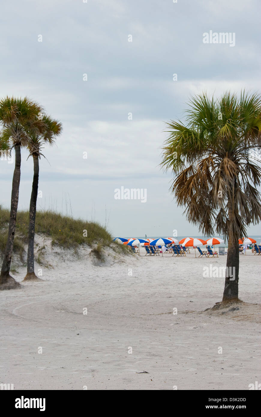 Carpas y sombrillas en la playa Clearwater, Florida Fotografía de stock -  Alamy