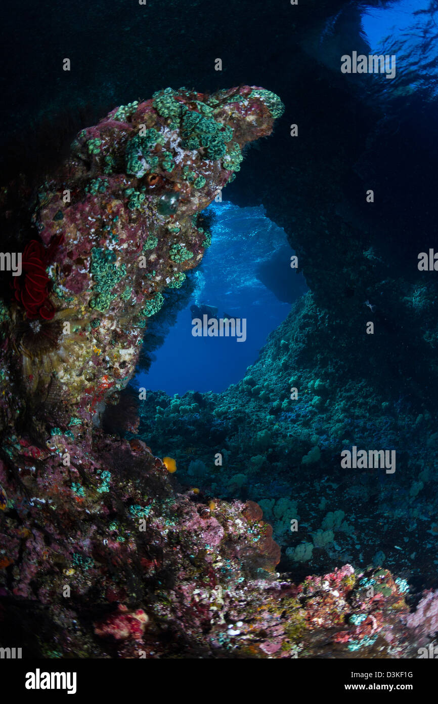 Diver en Boo Windows en Raja Ampat, Indonesia. Foto de stock