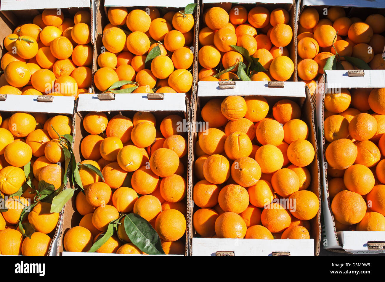 Cajas de naranjas fotografías e imágenes de alta resolución - Alamy