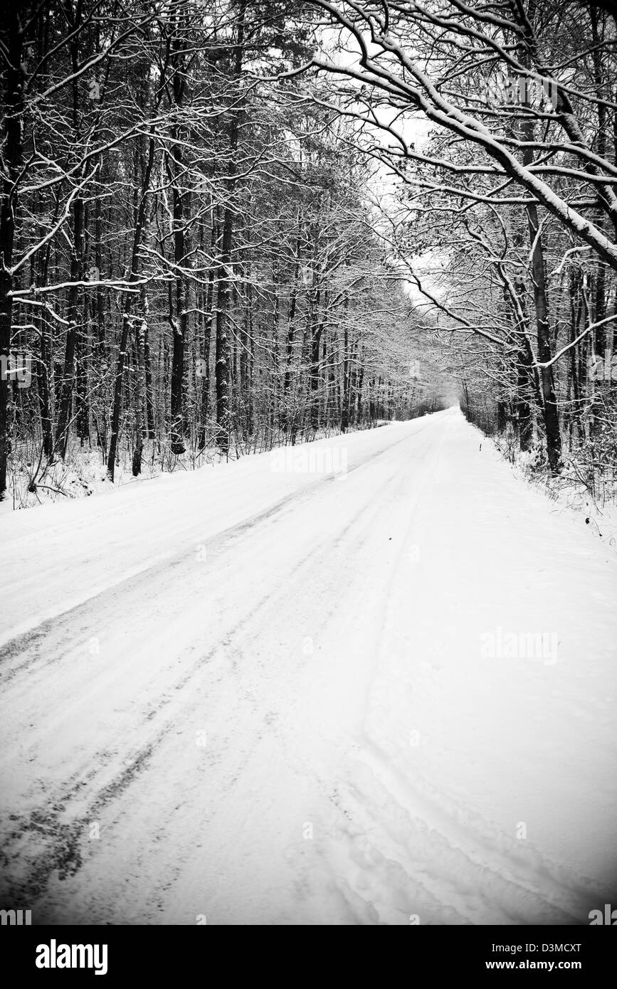 Camino en el bosque en invierno - un montón de nieve Foto de stock