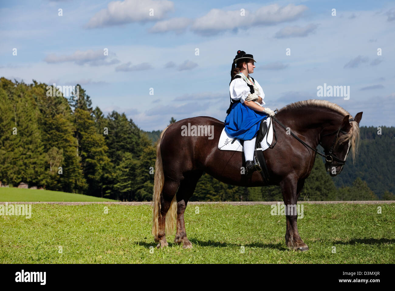 Disfraz de jinete de caballo fotografías e imágenes de alta resolución -  Alamy