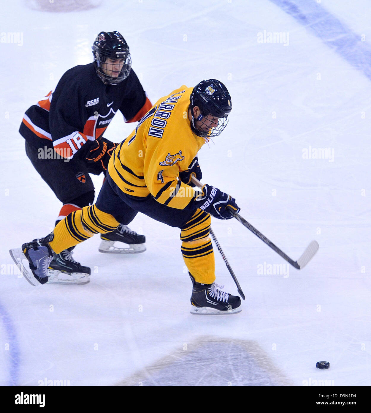 Hamden CT USA--encuesta de Quinnipiac Vs Princeton hockey acción. Foto de stock