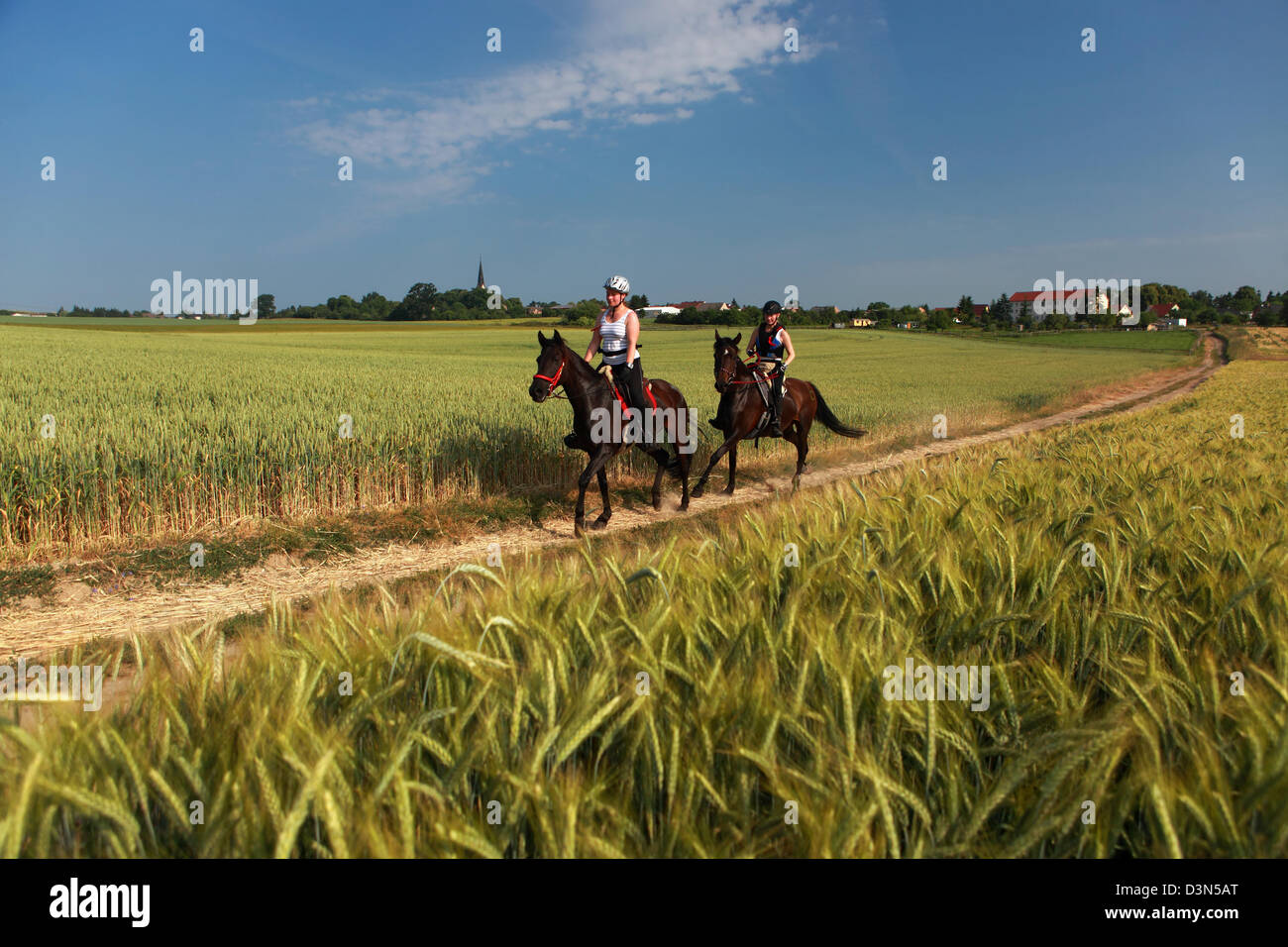 Britz, Alemania, jinetes en una prueba de endurance ride Foto de stock