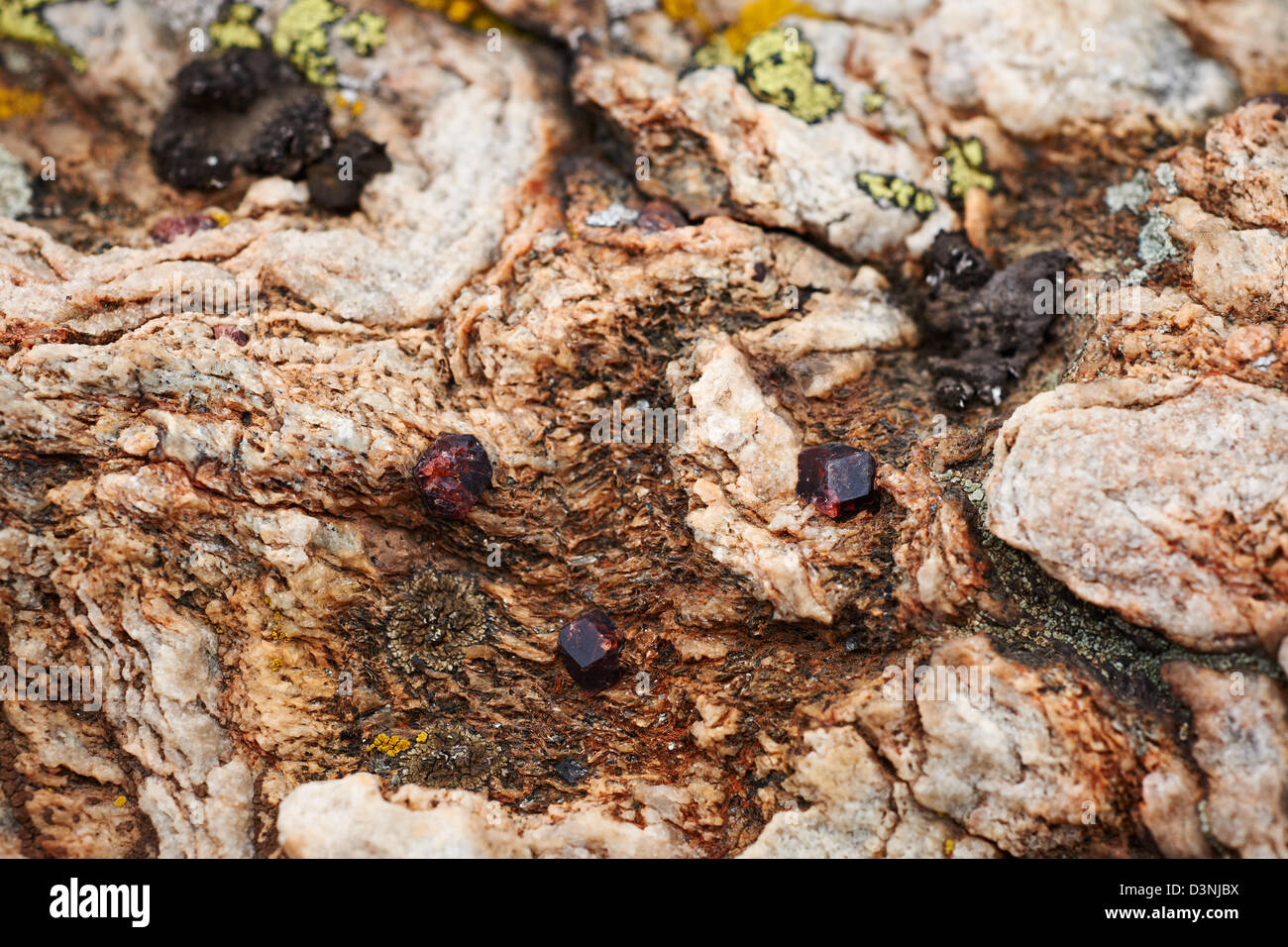 Magma roca con cristales de granate sobre la superficie de la tierra Foto de stock