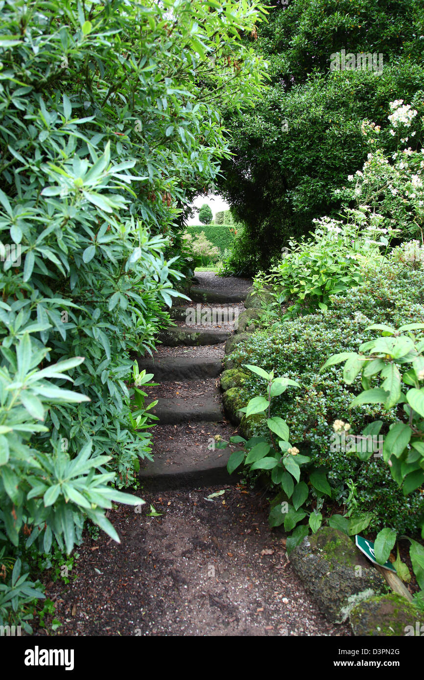 Pasos y arcada con arbustos y árboles a Arley Hall Gardens de Cheshire, Inglaterra Foto de stock