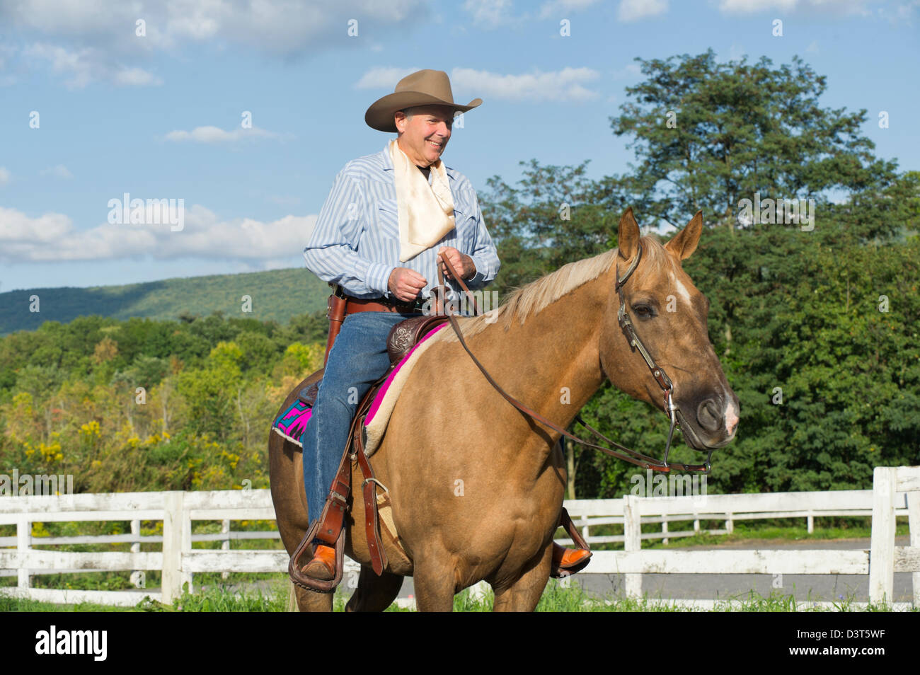 Palomino caballo vaquero en verano con fondo de montaña, paseos a caballo macho adulto maduro. Foto de stock