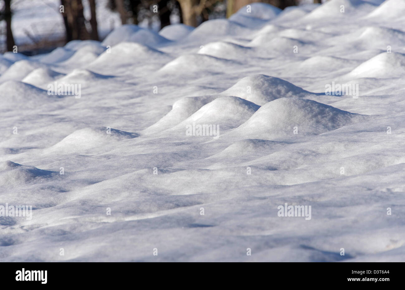 Valle de los moles de nieve Foto de stock