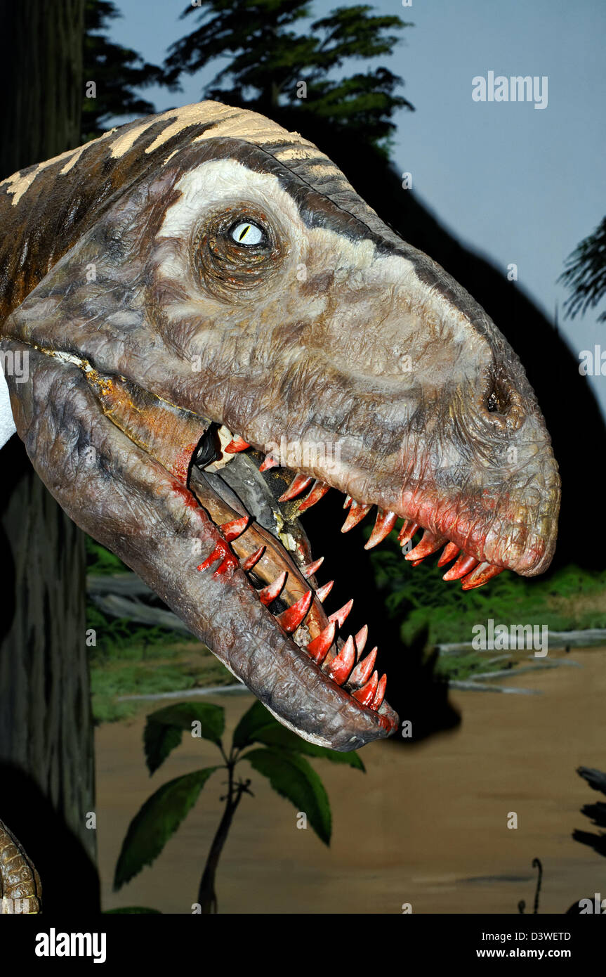 Cara de dinosaurio fotografías e imágenes de alta resolución - Alamy