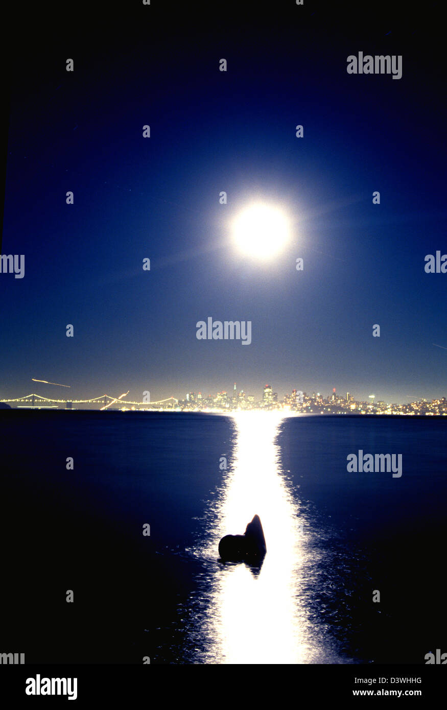 Se enciende la luz de la luna llena el horizonte de la Bahía de San Francisco y la estatua de lobo de mar en Sausalito, California Foto de stock