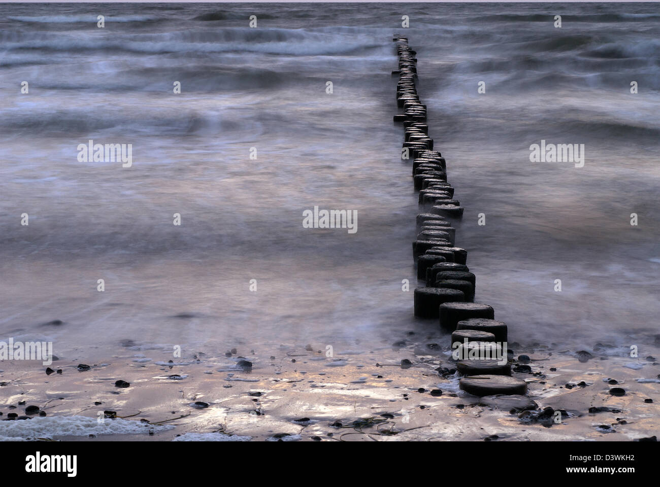Hiddensee, Alemania, rompeolas en la playa en el monasterio Foto de stock