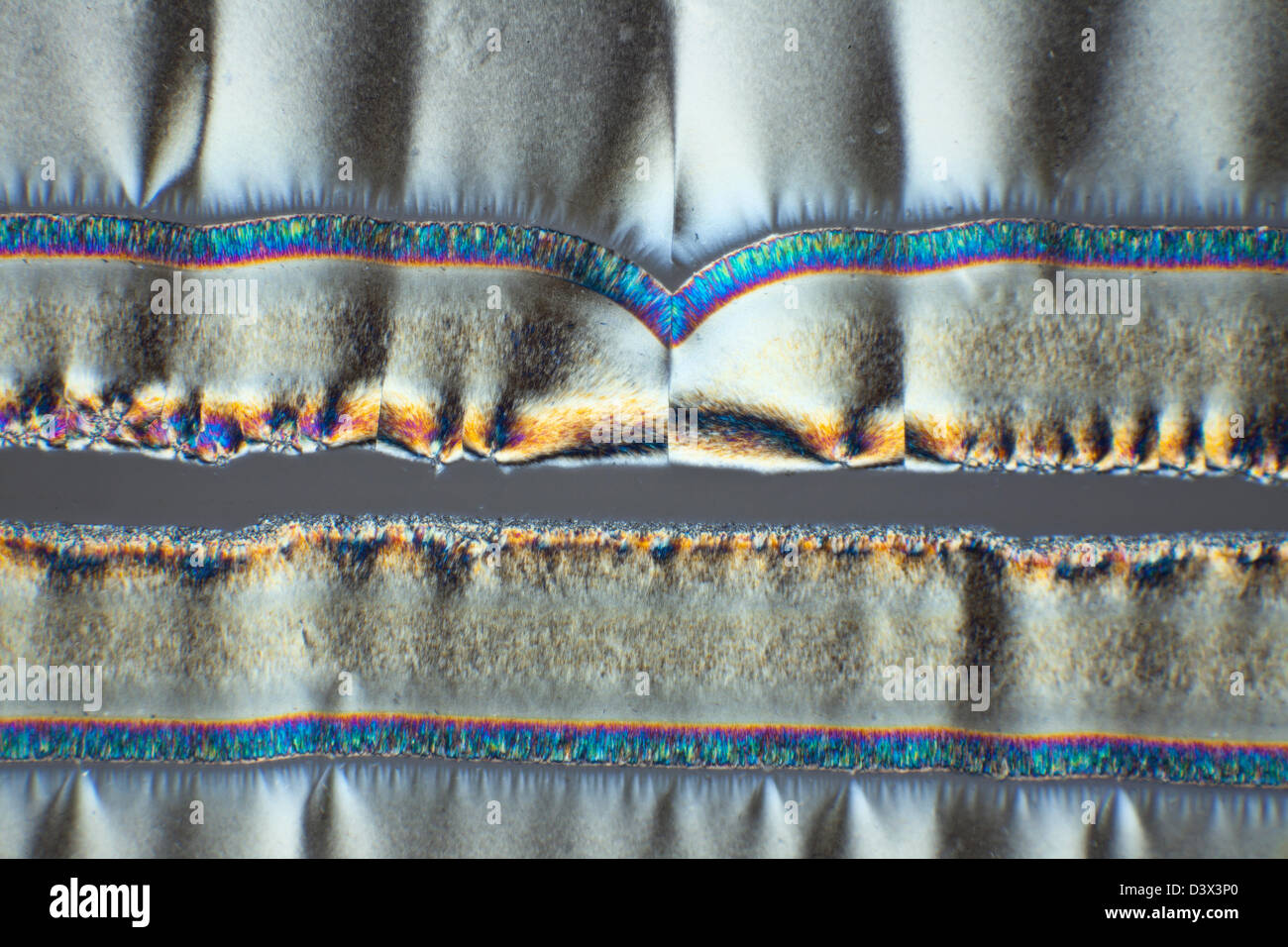Cruz microfotografía polarizada, ácido ascórbico, vitamina C, estructuras cristalinas Foto de stock
