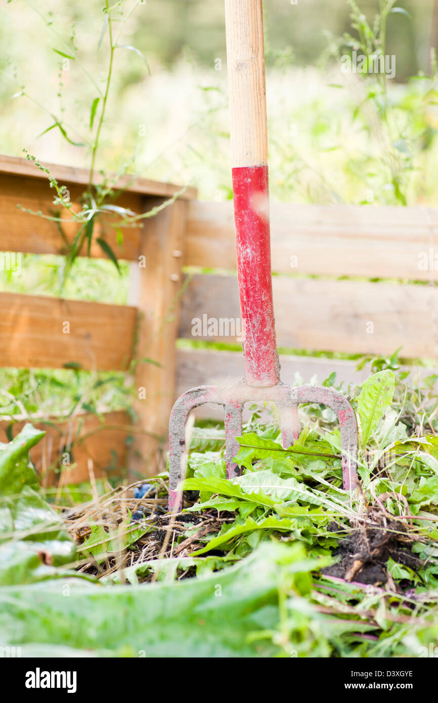 Reciclaje de plantas en un jardín compost bin Foto de stock