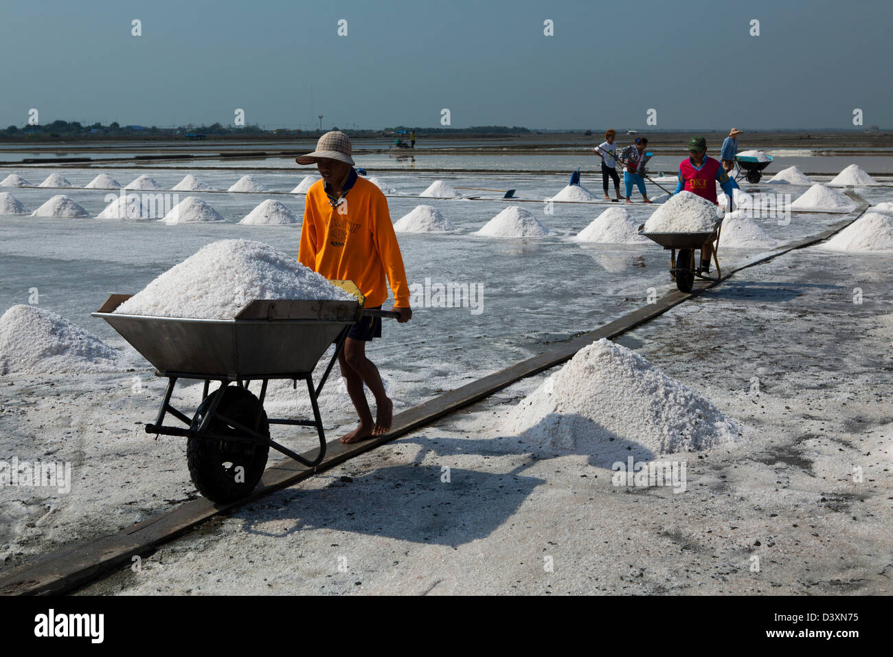 En Tailandia, la mayoría de la sal consumida proviene de salmuera salinas, y el mayor número de estas fincas son sal en Samut Sakhon Foto de stock