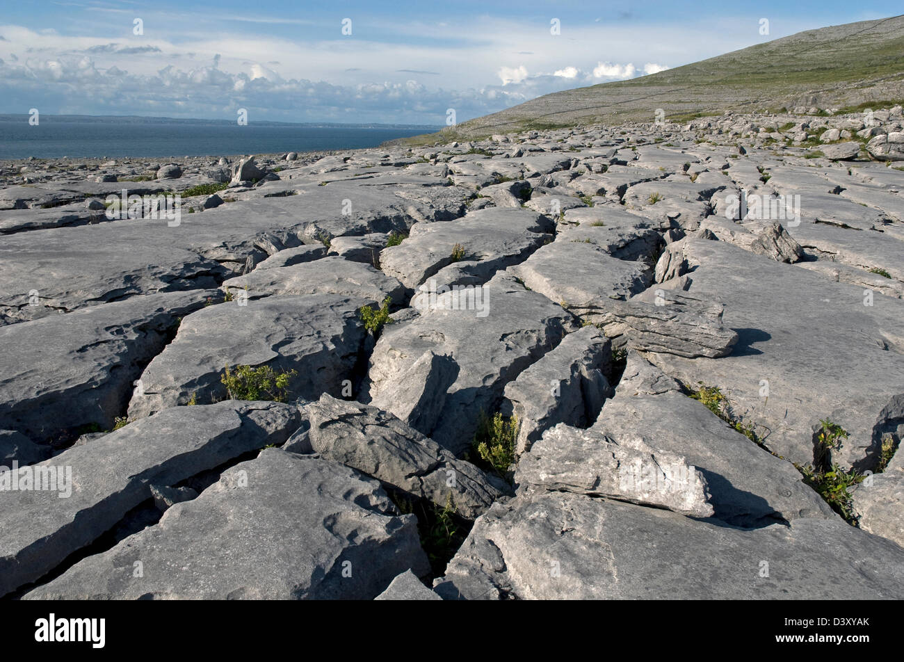 Pavimento de piedra caliza, el Burren, Co Clare, Costa Oeste de Irlanda Foto de stock