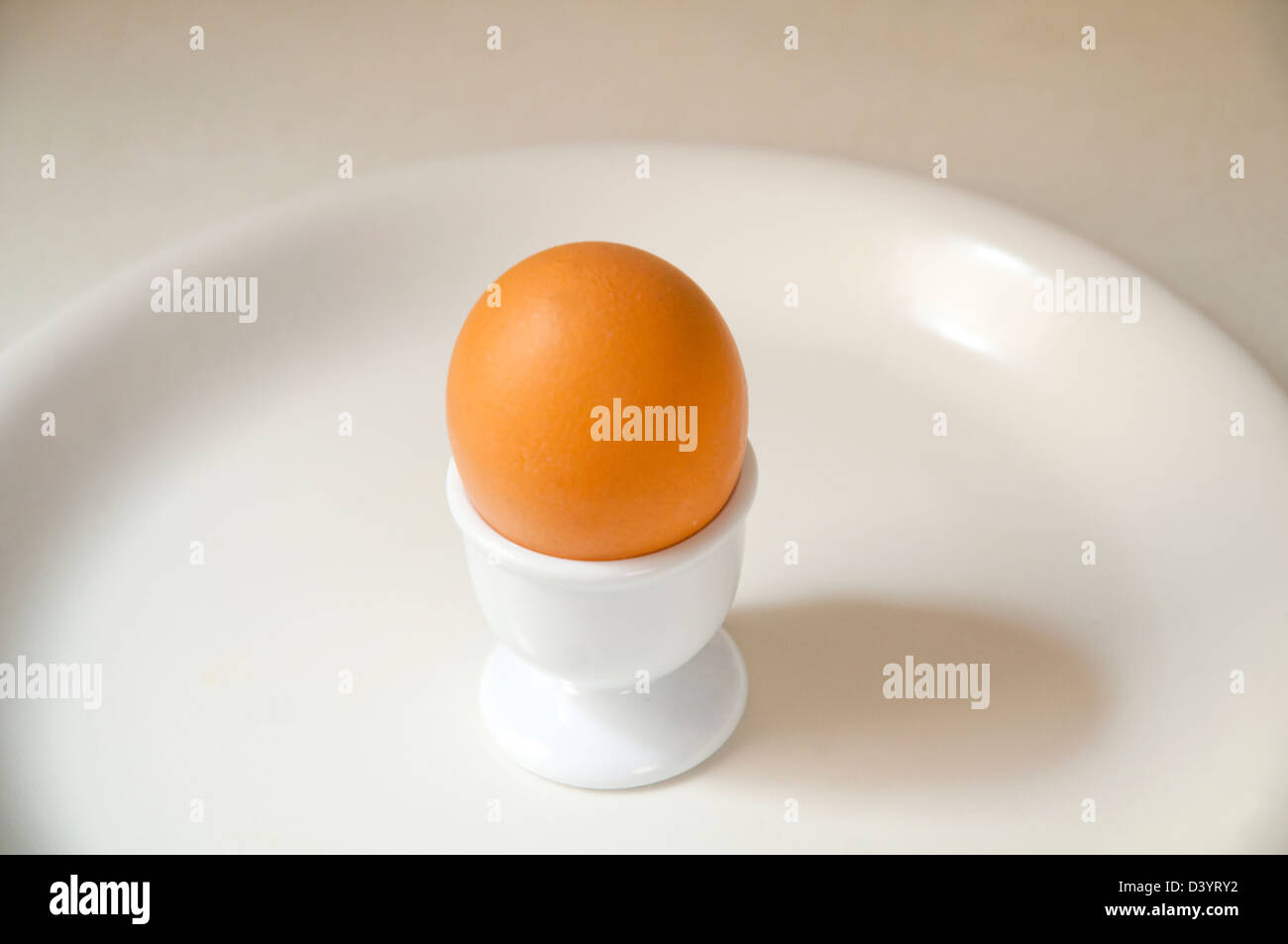 Huevo en la huevera. Foto de stock