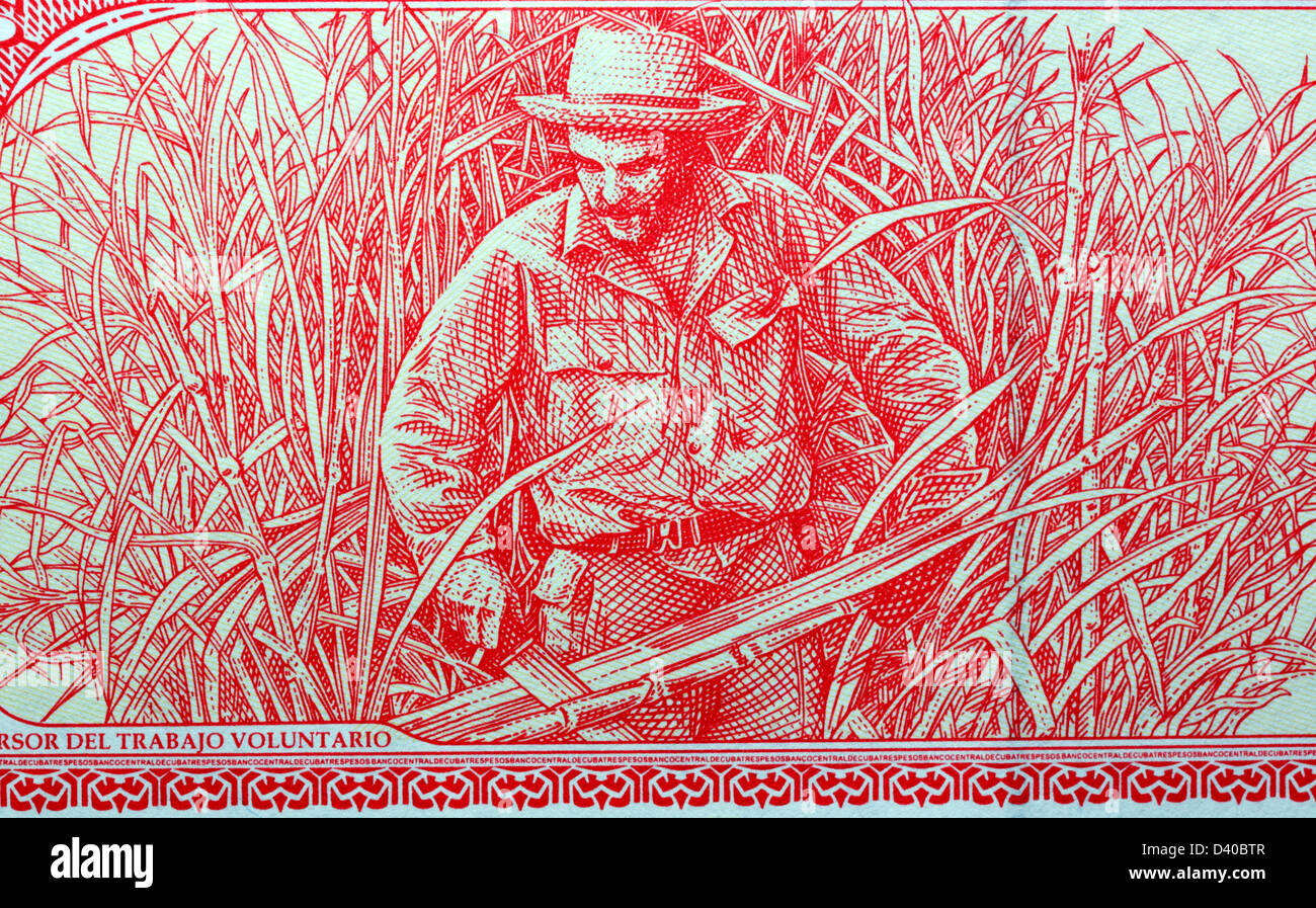 Che Guevara en campo de caña de azúcar de billetes de 3 Pesos, Cuba, 2004 Foto de stock