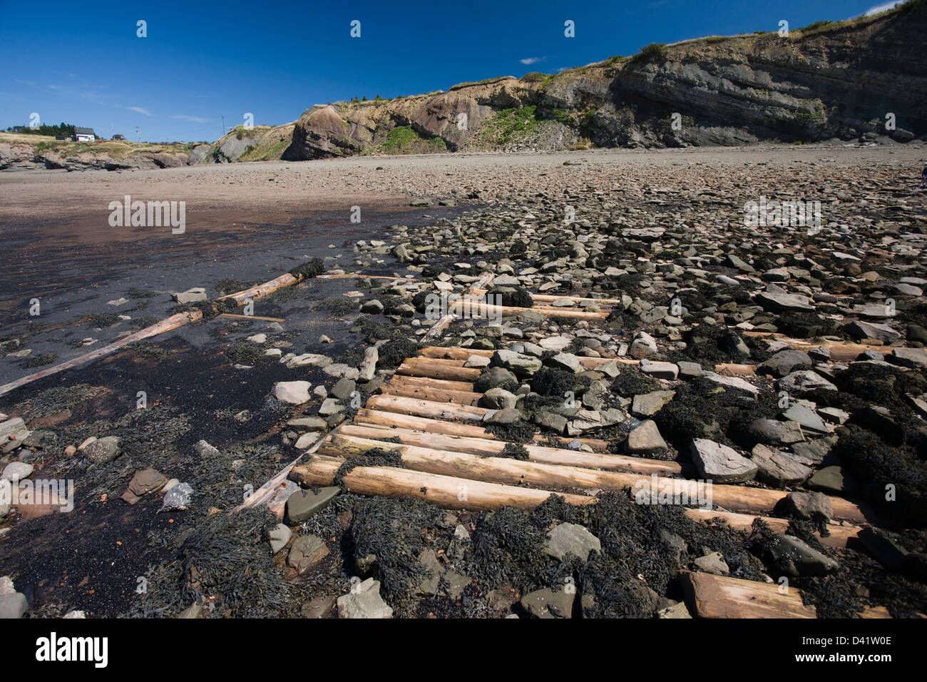 Restos de muelles de madera y muelles de la industria minera del carbón en la playa, en el fósil Joggins acantilados Foto de stock